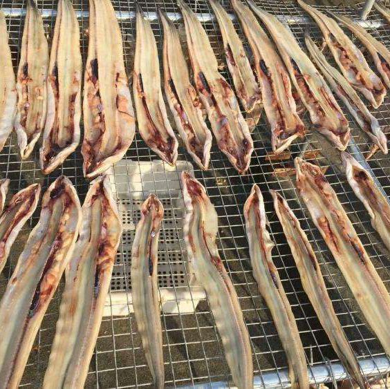 长海海鲜特产-淡干海米鳝鱼干