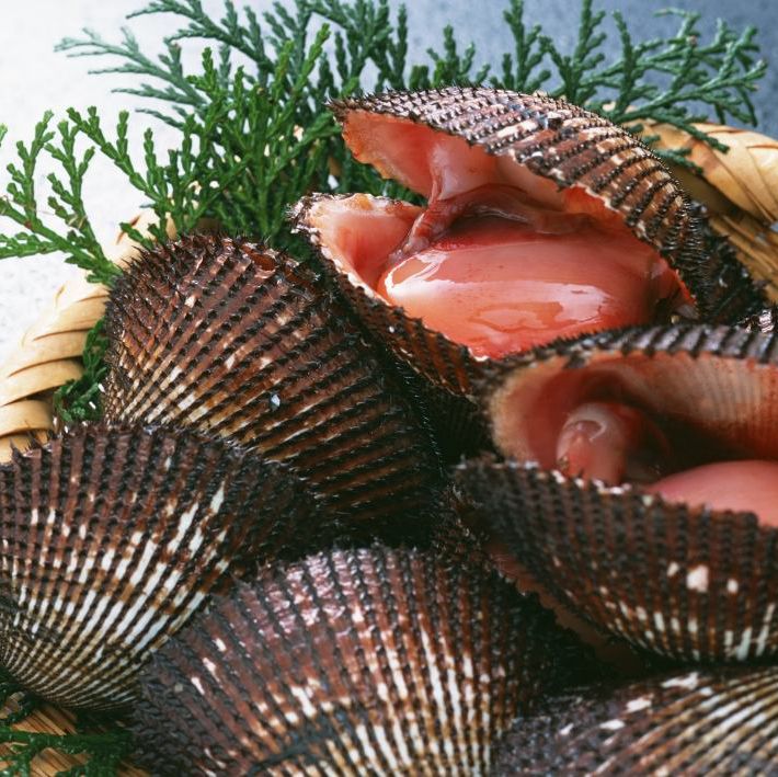 长海海鲜特产-淡干海米赤贝