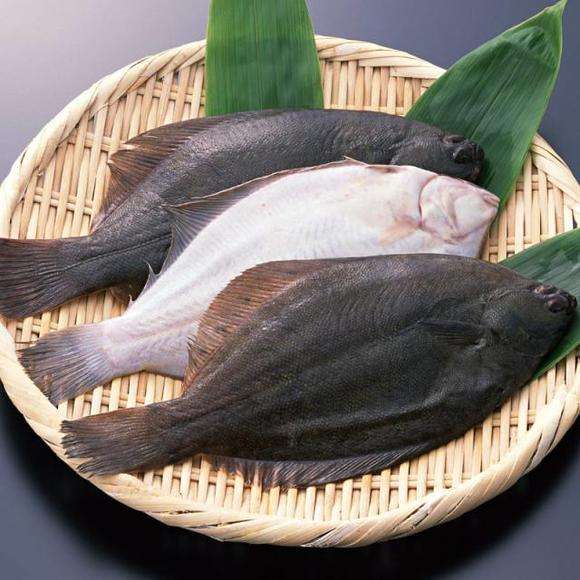 长海海鲜特产-鸦片鱼