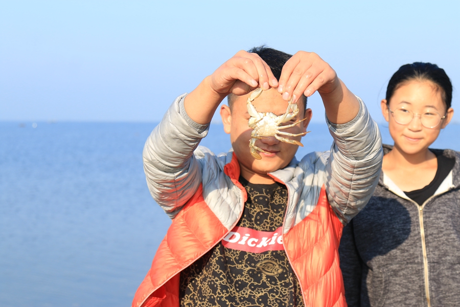 哈仙岛赶海