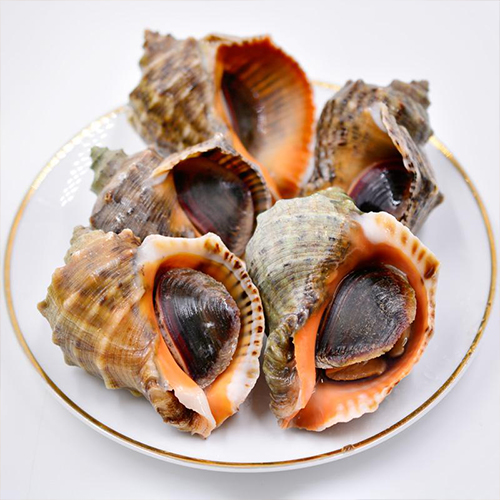 大连海鲜