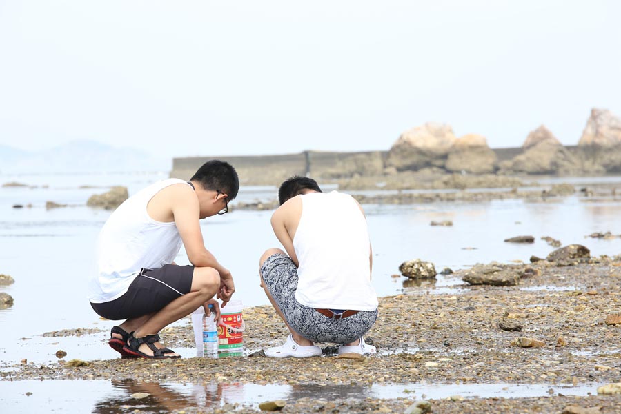 哈仙岛赶海 哈仙岛赶海