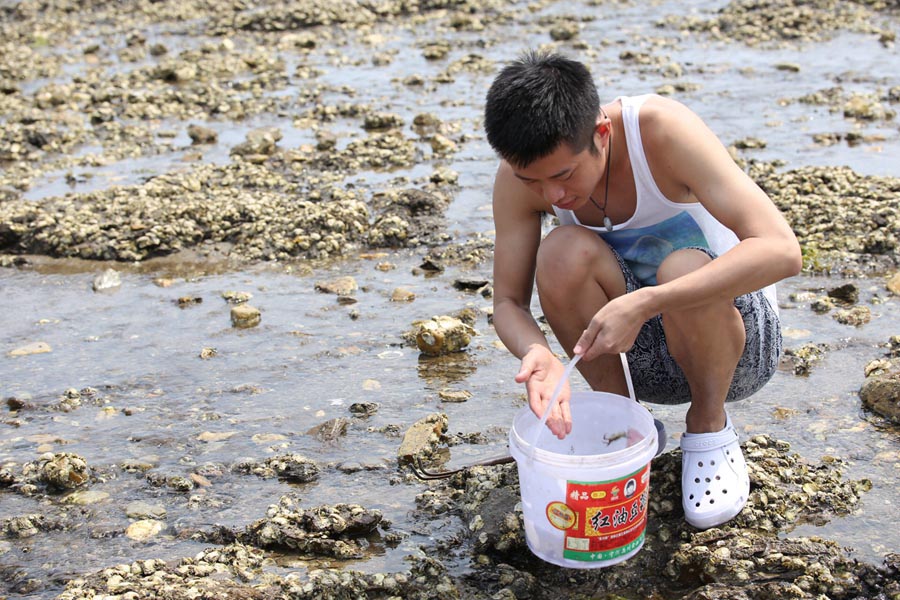 哈仙岛赶海 哈仙岛赶海
